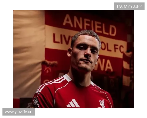 维尔茨:从组织核心到终结者的角色进化与数据解析