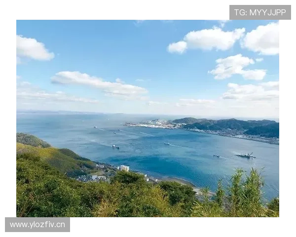 大阪刚买下比她训练场还大的海岛，网友：这姐是把发球当印钞机打？